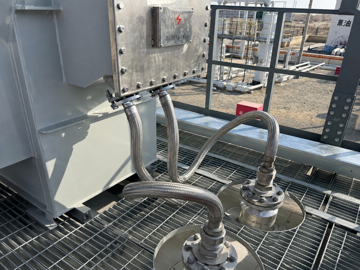 Installed Desalter HV Feedthroughs with armored flexible leads